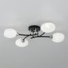 Люстра потолочная Citilux Флорида CL148145