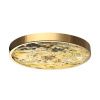 Настенно-потолочный светильник Odeon Light Bergi (Берги) 5079/40L