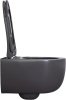 Чаша унитаза подвесная Allen Brau Priority 4.31002.AN цвет черный без сиденья безободковая каскадный смыв