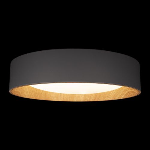 Светильник потолочный Loft It Coin 10202 Grey - фото 4