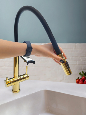 Смеситель для кухни AltroBagno Flusso AltroBagnoFlusso050205Gl на мойку золото