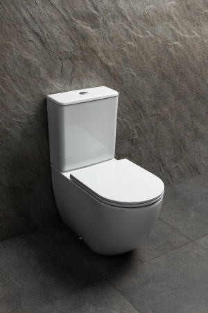 Чаша унитаза подвесная Allen Brau Priority Tornado 4.31006.20 цвет белый без сиденья безободковая душевой смыв