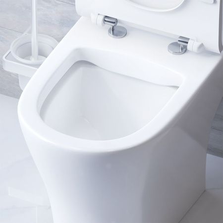 Унитаз напольный с бачком Damixa Sirius DX86C8600SC белый с сиденьем микролифт безободковый каскадный смыв