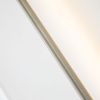 Светильник настенный Favourite Reed (Реед) 3002-3W