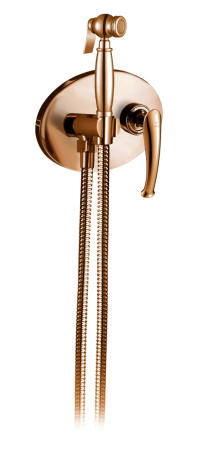 Гигиенический душ со смесителем AltroBagno Beatrice AltroBagnoBeatrice060114ROr розовое золото