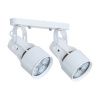 Спот Arte Lamp Lyra (Лыра) A6252PL-2WH