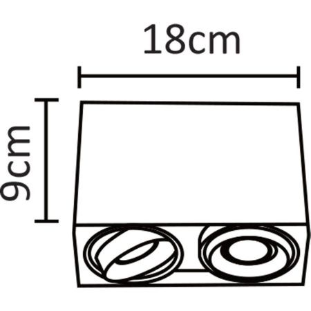 Светильник потолочный Arte Lamp Pictor (Пицтор) A5655PL-2WH