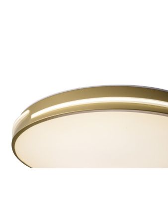 Светильник потолочный Zortes Gabby (Габбы) ZRS.90610.50