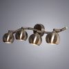 Спот Arte Lamp BRAD (БРАД) A6253PL-4AB
