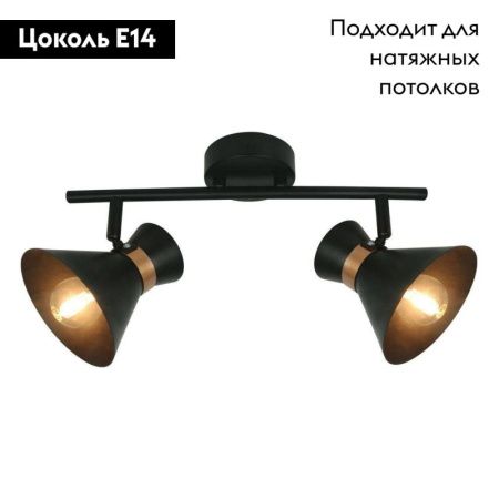 Спот Arte Lamp Baltimore (Балтиморе) A1406AP-2BK