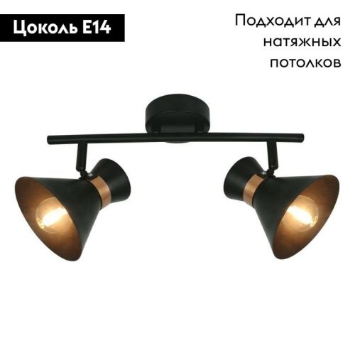 Спот Arte Lamp Baltimore (Балтиморе) A1406AP-2BK - фото 2