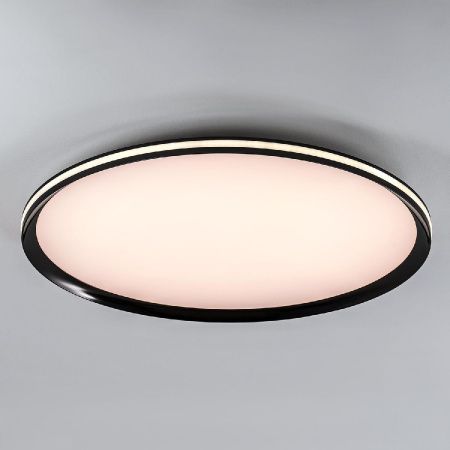 Светильник потолочный LED4U L3020-600 BK