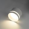 Светильник накладной Citilux Hardy (Харды) CL002C10