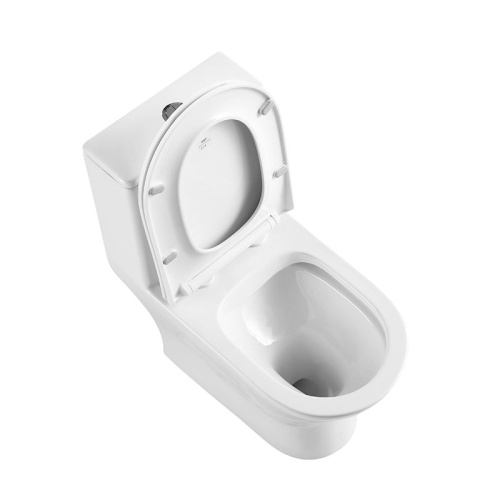 Унитаз напольный с бачком BelBagno LOUNGE BB8618CPR-MN/SC белый с сиденьем микролифт безободковый каскадный смыв - фото 2