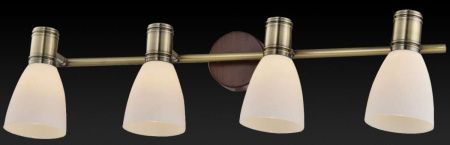 Спот Toplight Sharyl (Схарыл) TL3720Y-04BB