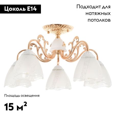 Люстра потолочная Myfar Nicole (Ницоле) MR1661-5C