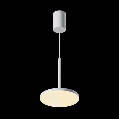 Светильник подвесной Wertmark Technical Plato Pendant P076PL-L12W3K-W - фото 3