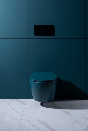 Чаша унитаза подвесная Allen Brau Fantasy 4.11004.PT цвет зеленый без сиденья безободковая каскадный смыв