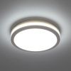 Светильник потолочный Citilux Luns (Лунс) CL711010V