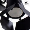 Спот Arte Lamp Cinema (Цинема) A3092AP-2BK