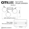 Светильник настенно-потолочный Citilux Dorsy (Дорсы) CL223132