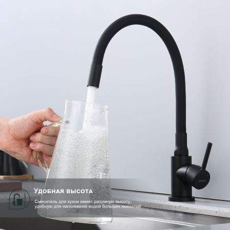 Смеситель для кухни Splenka S201 S201.4406.06 на мойку черный