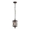 Уличный подвесной светильник Loft It Ravenna 100016P