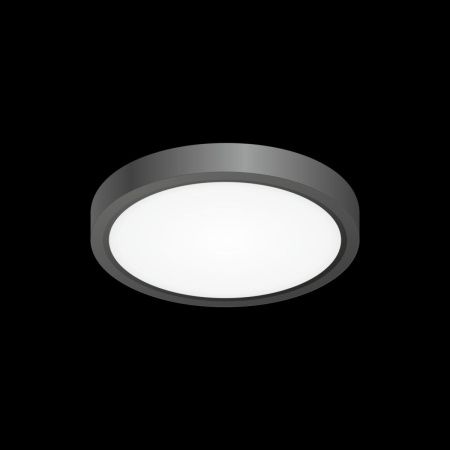 Светильник накладной Citilux Бейсик CL738121N