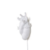 Светильник настенный Seletti Love in Bloom (Лове ин Блоом) 09925