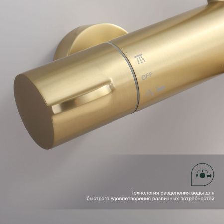 Душевая стойка Splenka S223.26.03 настенная цвет золото с термостатом