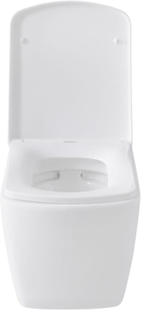 Чаша унитаза подвесная Allen Brau Liberty 4.33004.20 цвет белый без сиденья безободковая каскадный смыв