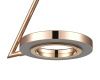 Светильник подвесной Vele Luce Margarita (Маргарита) VL7304P21