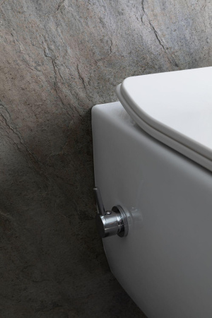 Чаша унитаза подвесная Allen Brau Liberty 4.33009.20 цвет белый без сиденья безободковая каскадный смыв