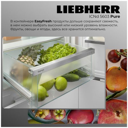 Холодильник двухкамерный Liebherr ICNd 5603-20 001