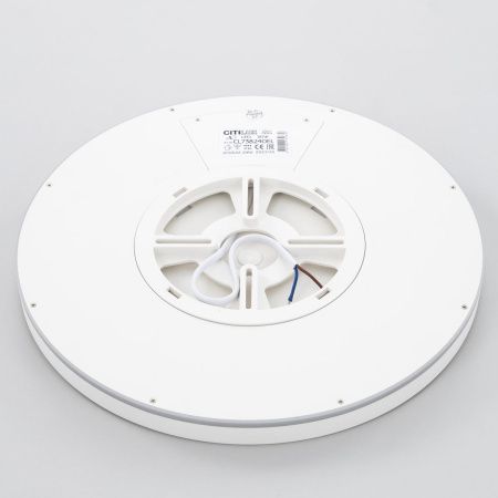 Светильник накладной Citilux Basic Line (Басиц Лине) CL738240VL