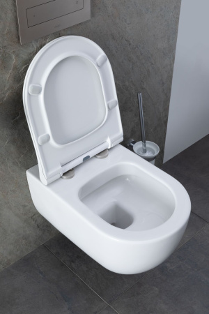 Чаша унитаза подвесная Allen Brau Priority 4.31001.20 цвет белый без сиденья безободковая каскадный смыв