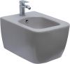 Биде подвесное Allen Brau Liberty 4.33010.AN цвет серый