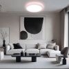 Светильник накладной Citilux Basic Line (Басиц Лине) CL738320EL