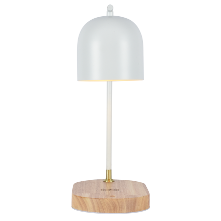 Настольная лампа Zortes DeskLight (ДескЛигхт) ZRS.1066.02