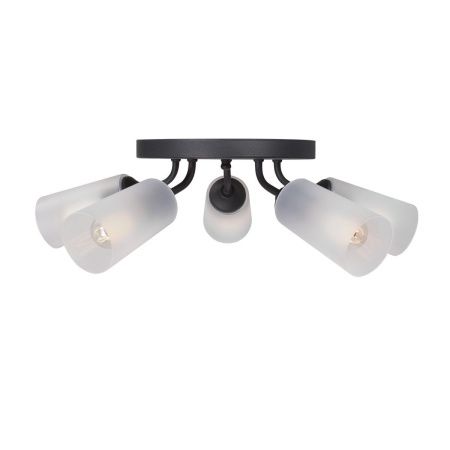 Люстра потолочная Vitaluce V3762 V3762-1/5PL