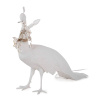 Торшер Seletti Peacock (Пеацоцк) 14672