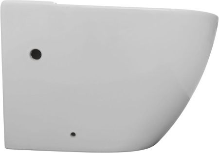 Чаша унитаза напольная Aquanet Cetus Cetus 2.0 C1 цвет белый без бачка с сиденьем микролифт безободковая каскадный смыв