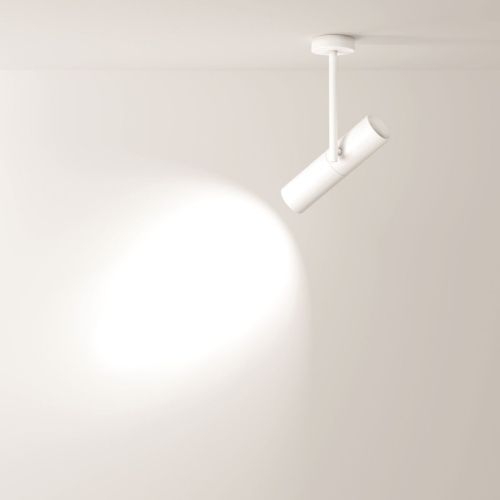 Светильник потолочный Maytoni Technical Elti C020CL-01W - фото 5