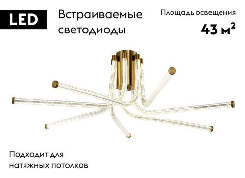 Люстра потолочная Zortes Lora (Лора) ZRS.57784.07 - фото 2
