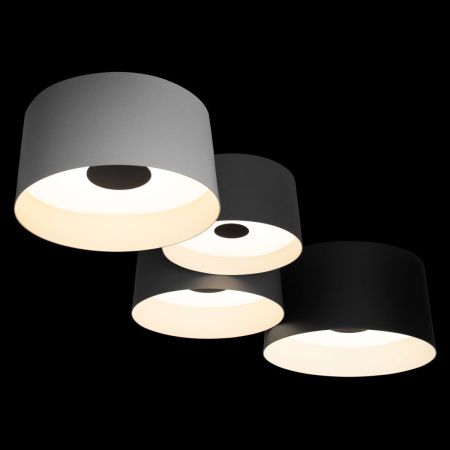 Светильник потолочный Loft It Duo 10360/4