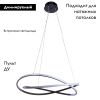 Светильник подвесной Arte Lamp Swing (Свинг) A2522SP-2BK