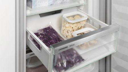 Холодильник двухкамерный Liebherr ICNd 5603-20 001