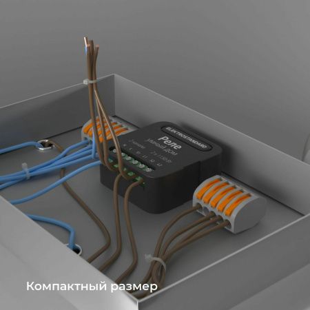Умное двухканальное реле Elektrostandard 4690389185083