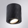 Светильник накладной Arte Lamp Fang (Фанг) A5559PL-1BK