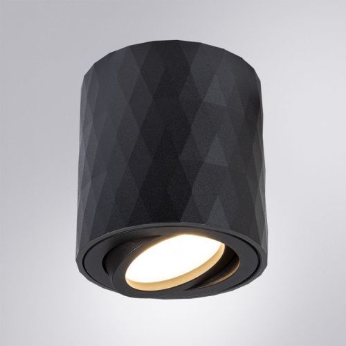 Светильник накладной Arte Lamp Fang (Фанг) A5559PL-1BK - фото 2